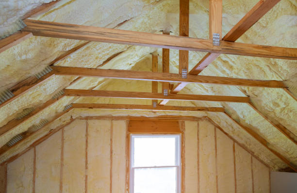 Trusted Jackson, AL Insulation Contractor Experts