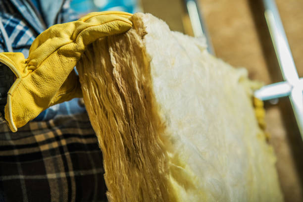 Best Blown-in Insulation in Jackson, AL